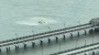 New York: Hubschrauber stürzt in Hudson River – sechs Tote | News | BILD.de